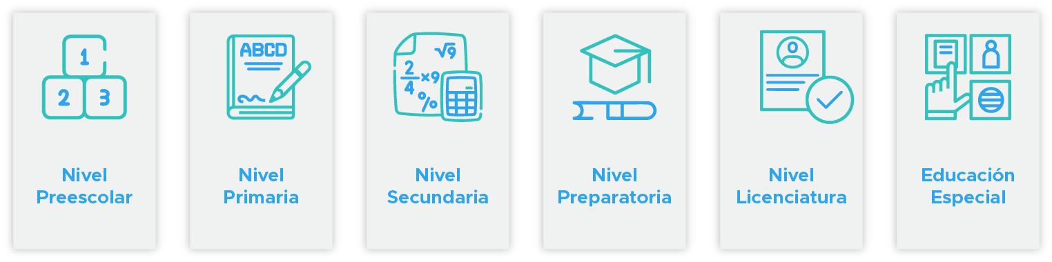 niveles de escolaridad